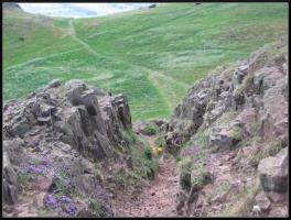 <img0*200:stuff/Holyrood%20Park%207.jpg>