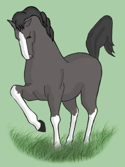 <img500*666:stuff/Horse2.jpg>