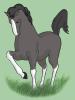 Horse2