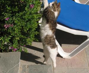 <img300*0:stuff/Hunter%20picture.jpg>