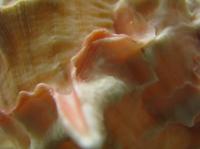 <img200*0:stuff/IMG_0015rsz.JPG>