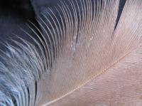 <img200*0:stuff/IMG_0024rsz.JPG>
