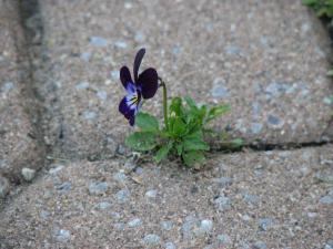 <img300*0:stuff/IMG_0031.JPG>