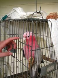 <img200*0:stuff/IMG_0050rsz.JPG>