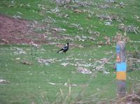 <img200*0:stuff/IMG_0074rsz.JPG>