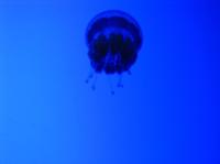<img200*0:stuff/IMG_0086rsz.JPG>