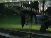 <img200*0:stuff/IMG_0259rsz.JPG>