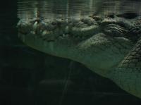 <img200*0:stuff/IMG_0260rsz.JPG>