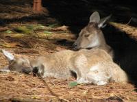 <img200*0:stuff/IMG_0273rsz.JPG>