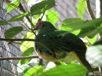 <img200*0:stuff/IMG_0284rsz.JPG>