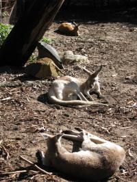 <img200*0:stuff/IMG_0291rsz.JPG>