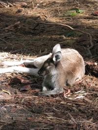 <img200*0:stuff/IMG_0297rsz.JPG>