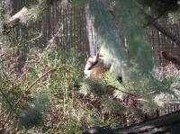 <img200*0:stuff/IMG_0308rsz.JPG>