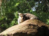 <img200*0:stuff/IMG_0312rsz.JPG>