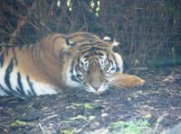 <img200*0:stuff/IMG_0323rsz.JPG>