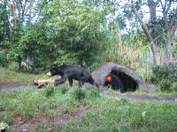 <img200*0:stuff/IMG_0329rsz.JPG>