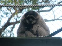 <img200*0:stuff/IMG_0333rsz.JPG>