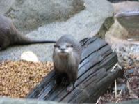 <img200*0:stuff/IMG_0347rsz.JPG>