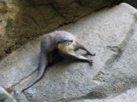 <img200*0:stuff/IMG_0348rsz.JPG>