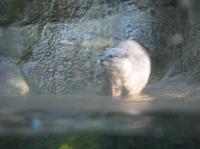 <img200*0:stuff/IMG_0364rsz.JPG>