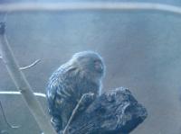 <img200*0:stuff/IMG_0376rsz.JPG>