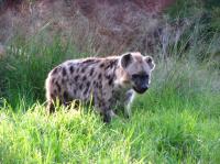 <img200*0:stuff/IMG_0384rsz.JPG>