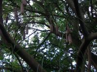 <img200*0:stuff/IMG_0397rsz.JPG>