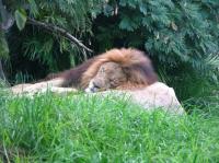 <img200*0:stuff/IMG_0399rsz.JPG>