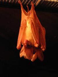 <img200*0:stuff/IMG_0401rsz.JPG>