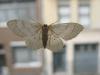 <img100*0:stuff/IMG_1846.JPG>