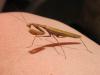 <img100*0:stuff/IMG_1908.JPG>