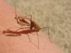 <img100*0:stuff/IMG_1919.JPG>