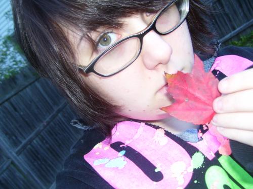 <img500*375:stuff/I_found_a_leaf..jpg>