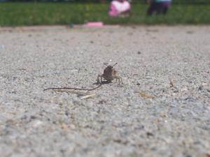 <img300*0:stuff/I_see_you.jpg>