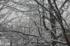 IceStorm