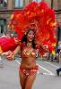 Image_1038221