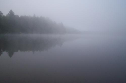 <img0*333:stuff/Image_1042939.jpg>