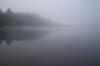 Image_1042939