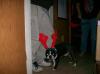 Image_1056188