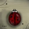 <img100*0:stuff/Image_1058641.jpg>