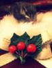 Image_1069665