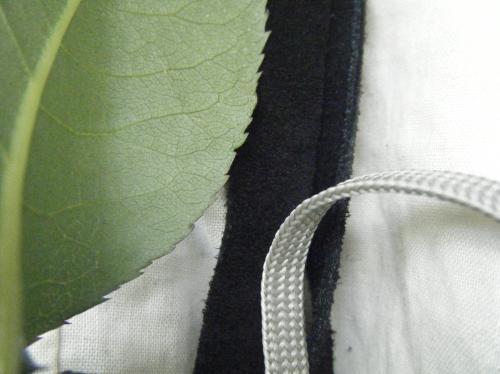 <img0*374:stuff/Image_1070644.jpg>