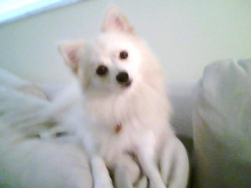 <img0*375:stuff/Image_1070913.jpg>