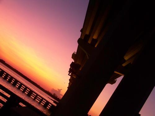 <img0*374:stuff/Image_1074126.jpg>