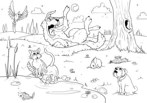 <img0*352:stuff/Image_1074303.jpg>