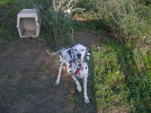 <img0*375:stuff/Image_1080191.jpg>