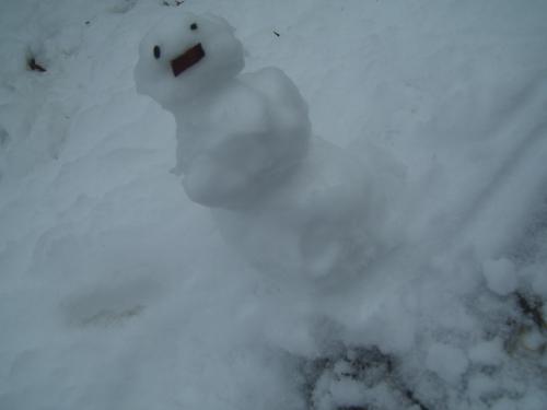 <img0*375:stuff/Image_1083721.jpg>