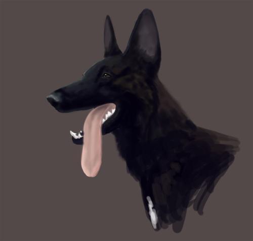 <img0*476:stuff/Image_1085524.jpg>
