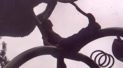 <img0*278:stuff/Image_19337.jpg>