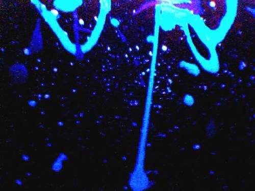 <img0*375:stuff/Image_367599.jpg>